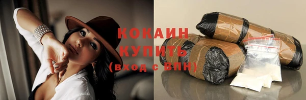 хмурый Алзамай