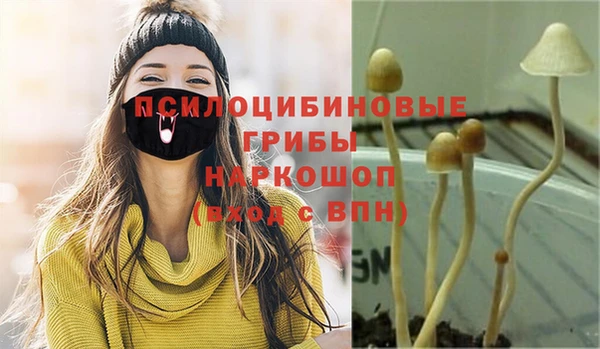 таблы Алексин