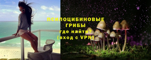 хмурый Алзамай
