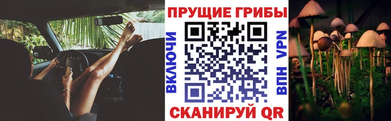 Галлюциногенные грибы Psilocybine cubensis  Липки 